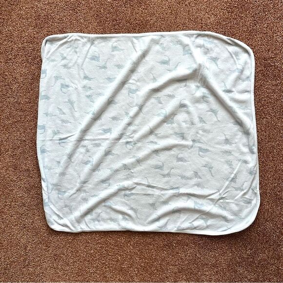 Baby Boy Blue Dinosaur Footie Blanket & Hat Bundle - Picture 5 of 5